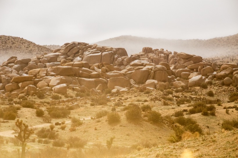 Golden light across a boulder-strewn desert hillside