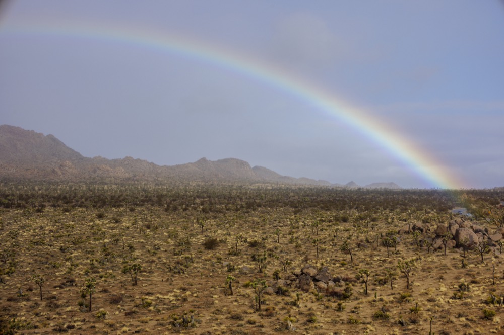 A rainbow arcing over an open plain of desert scrub