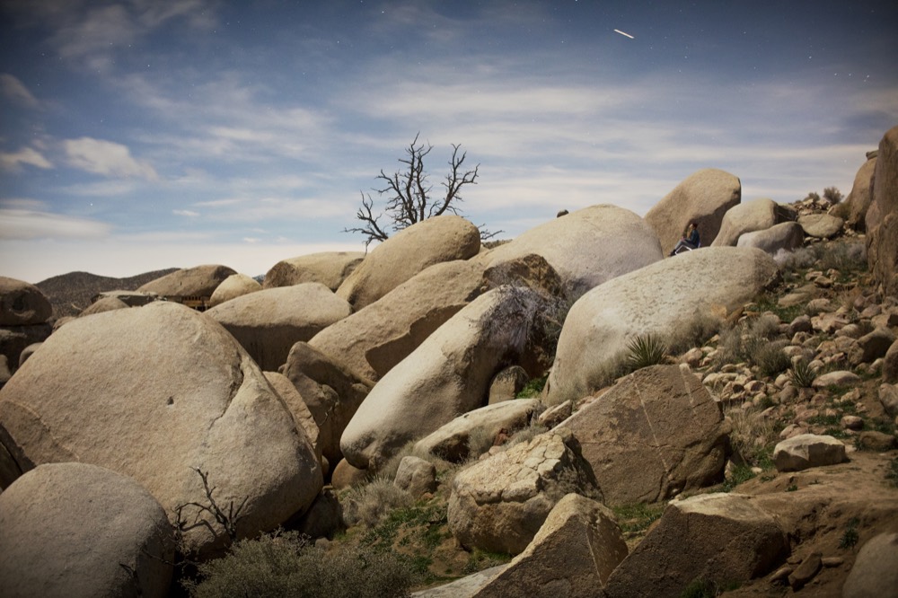 Boulders and a bare tree under an open sky