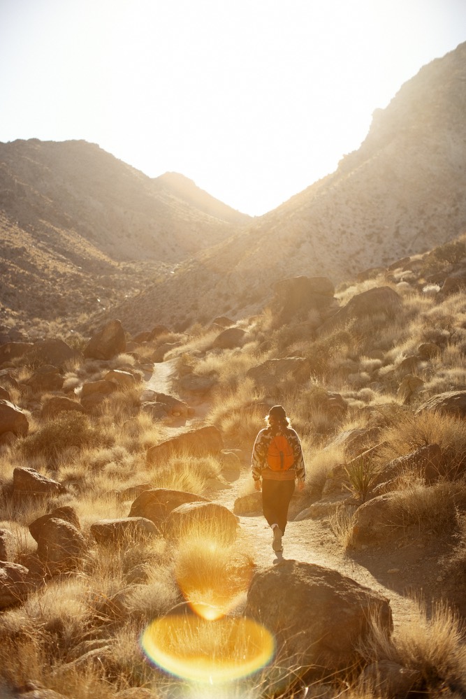 A walker in a golden desert valley, lit by low sun