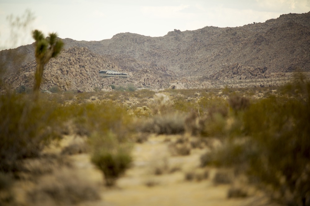 A Joshua tree above a sandy wash, low hills beyond