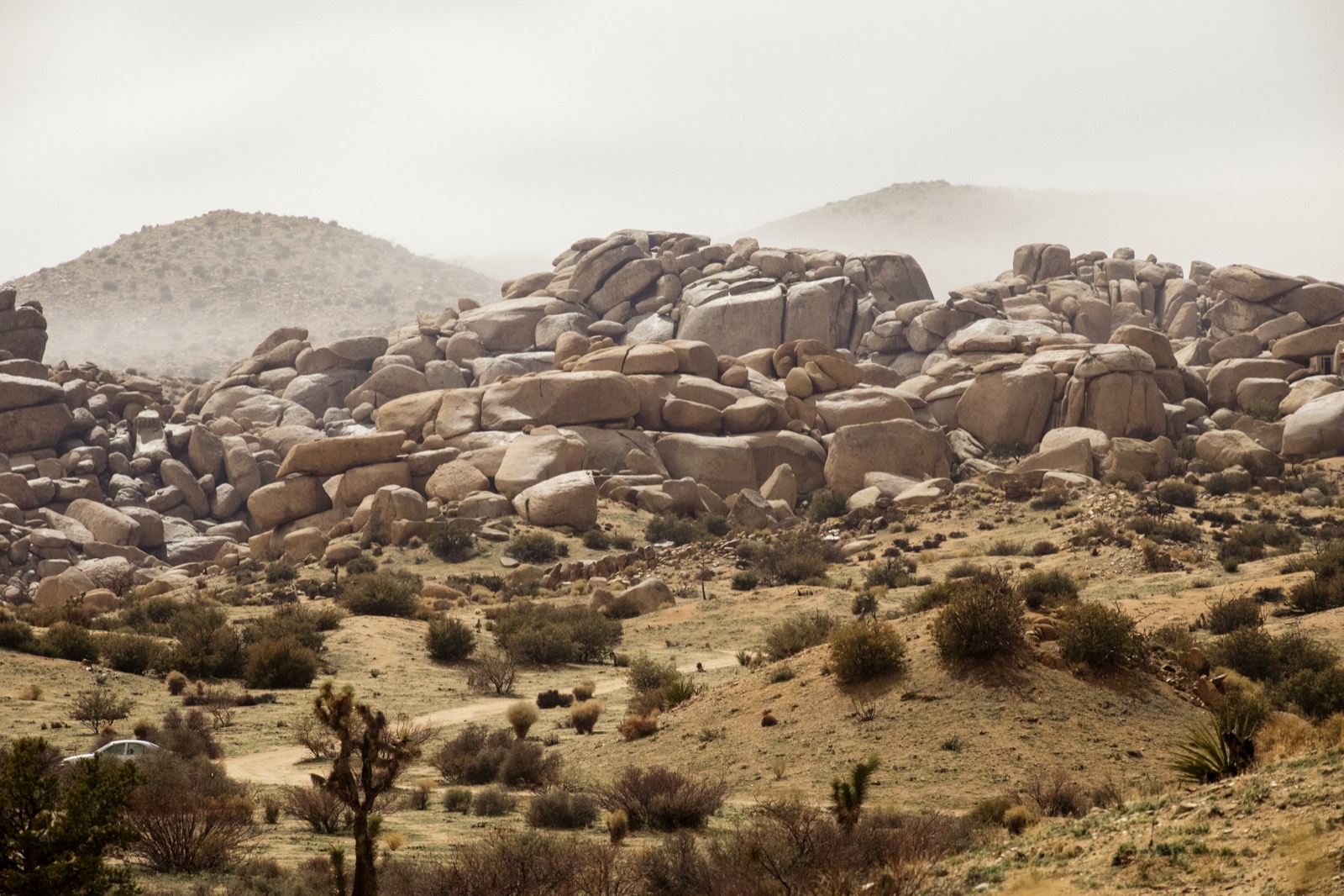 A boulder-strewn basin in morning mist
