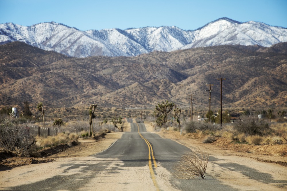 Snow on the high peaks above a desert road lined with Joshua trees