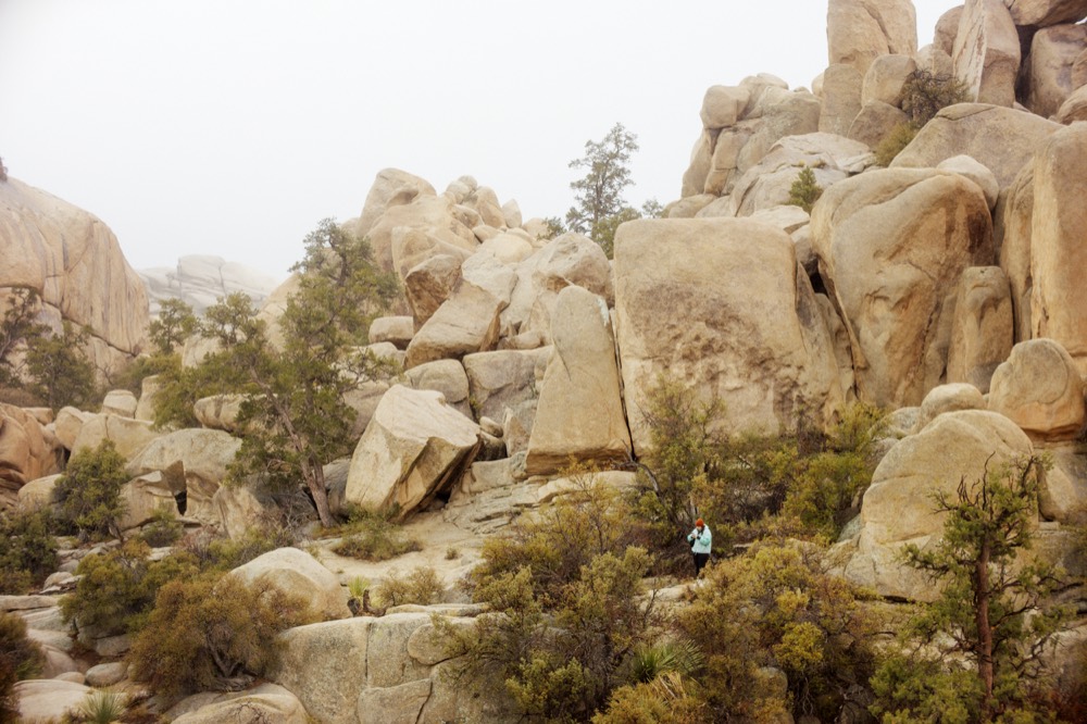Granite outcrops and desert trees under a pale sky